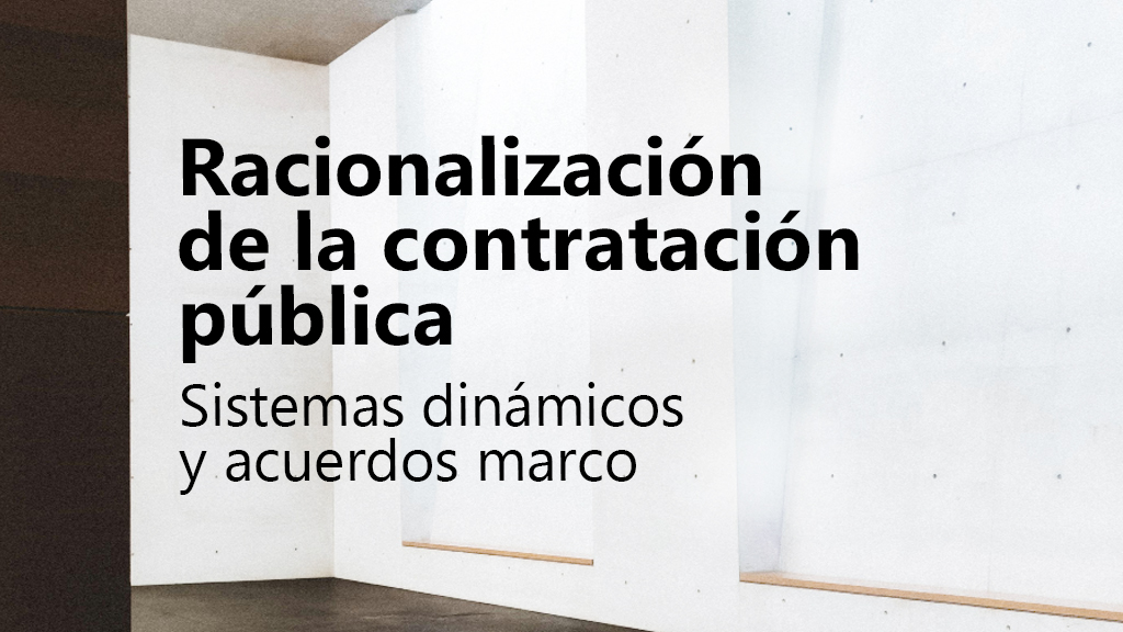 Curso de Racionalización de los contratos públicos