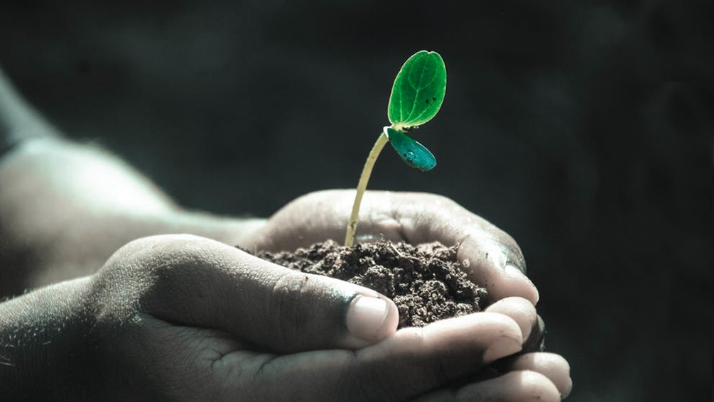 Curso de Ley 27/2013 Racionalización y sostenibilidad